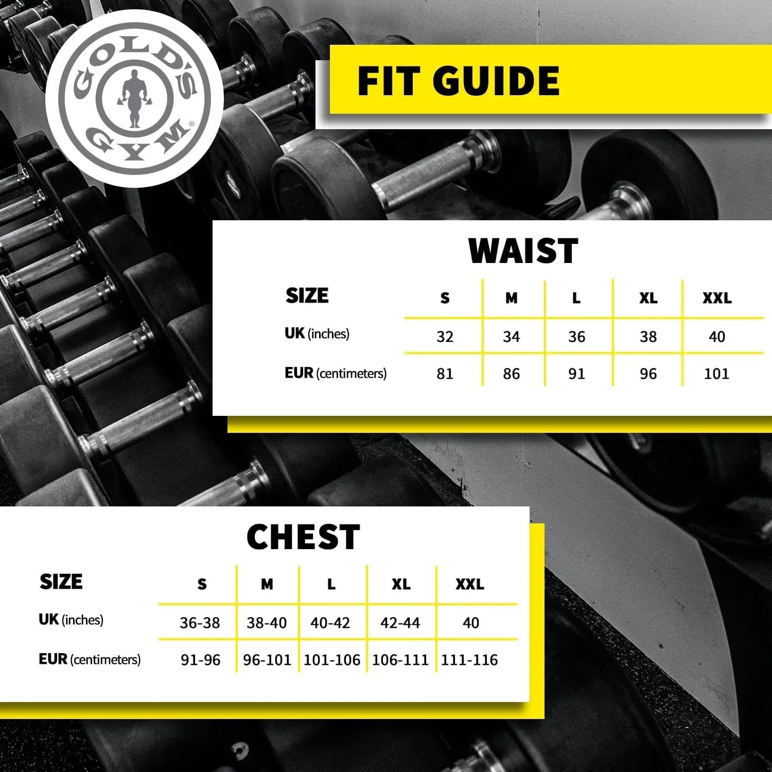 Gold's Gym mens Classic